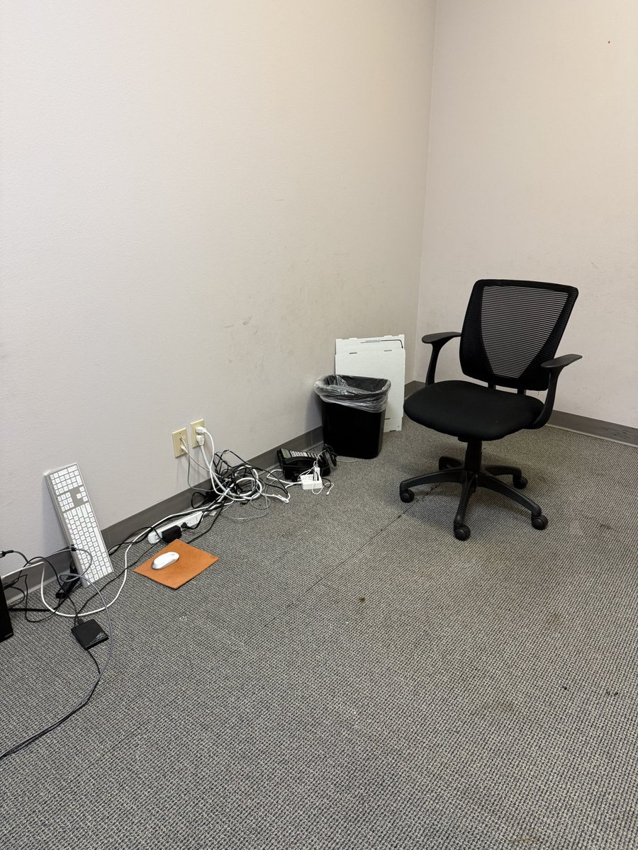 ☘️ Duchess of Shamrocks 🌈 tweet media