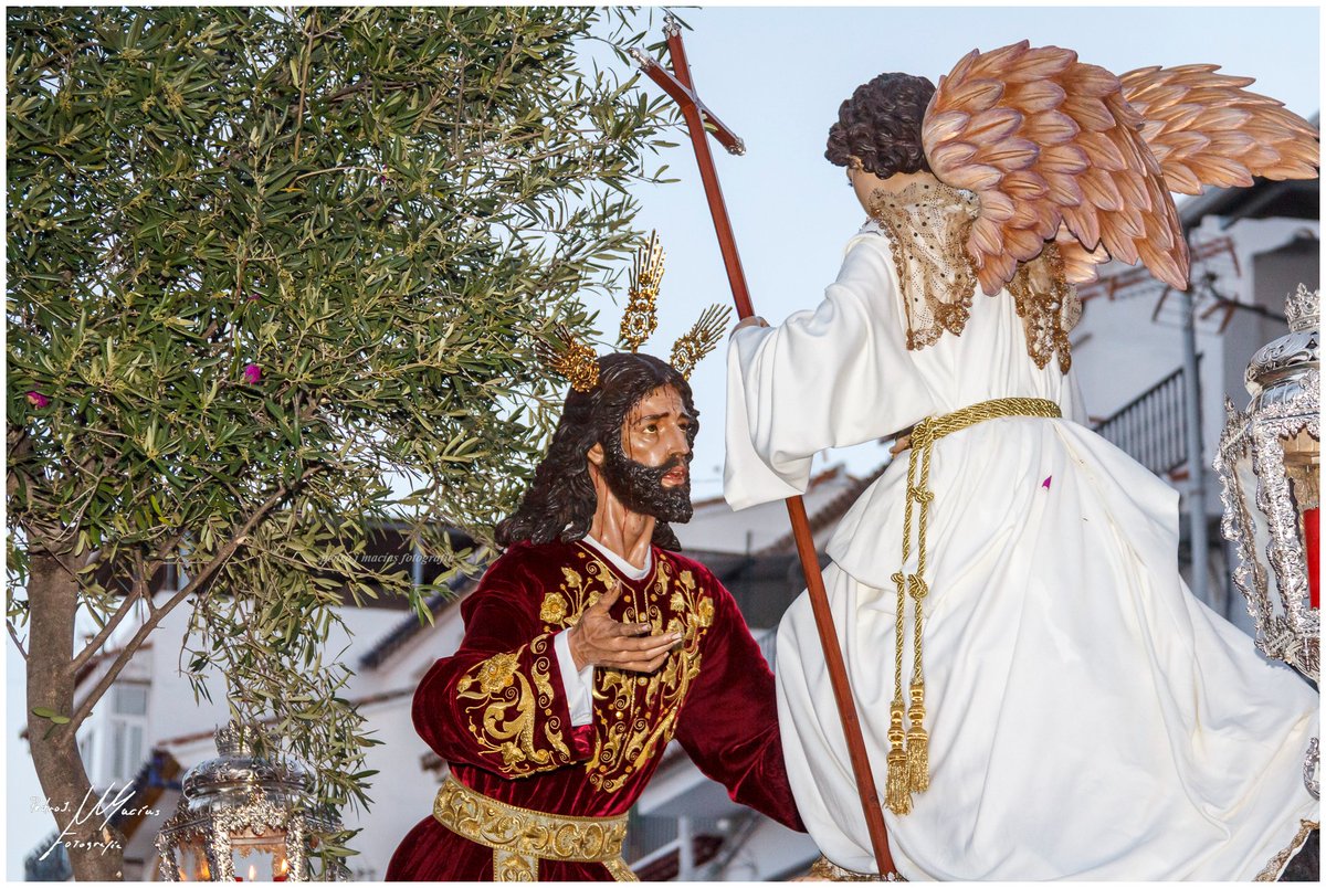 Sentir Pasión 

#FotografíasCofrades
#Álora
#DomingoDeRamos
#Huerto
#Paz
#Marzo2026