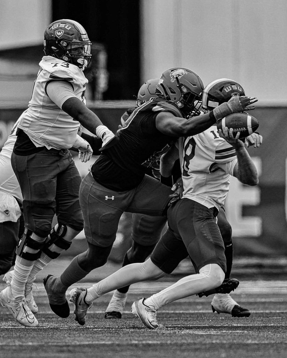 Ralph Carter🦍 tweet media