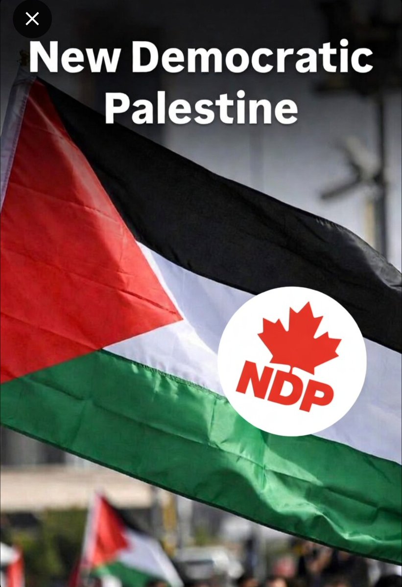 CanadianPatriot🇨🇦🍁 tweet media