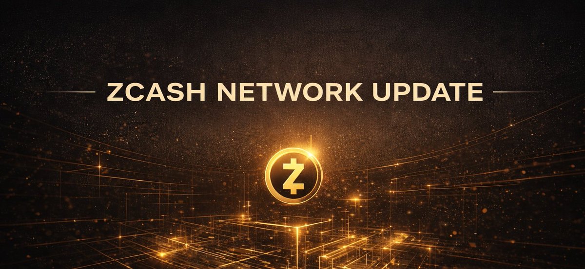 elzz 🛡️ tweet media