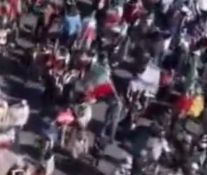 ShutUpFish tweet media