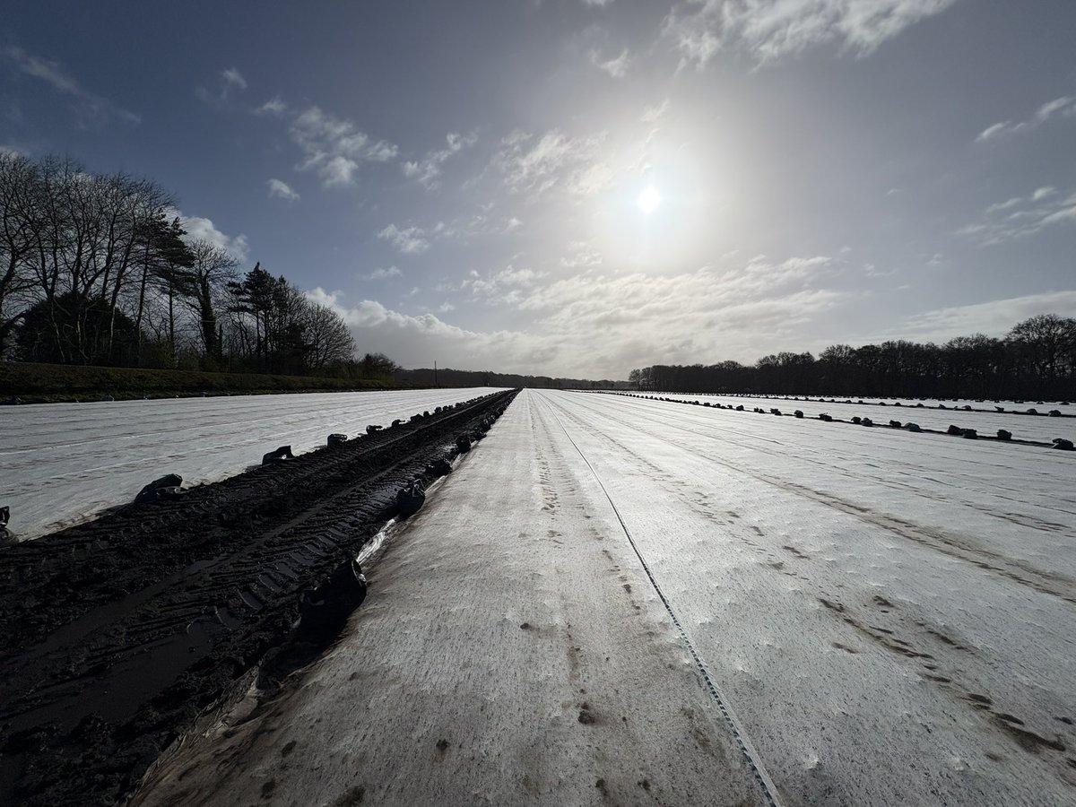 Agronomysilvers's tweet photo. Lettuce being protected from Rain , Hail , sun , wind , frost 💨 and some snow flurries it seems we’re getting all of the weather at once today 🤣🤣 just some warmer temps and dry weather would be nice 👌👌💥💥 @AgriiUK #lettuce #alltypesofweathertoday https://t.co/DaL4eKxGtj