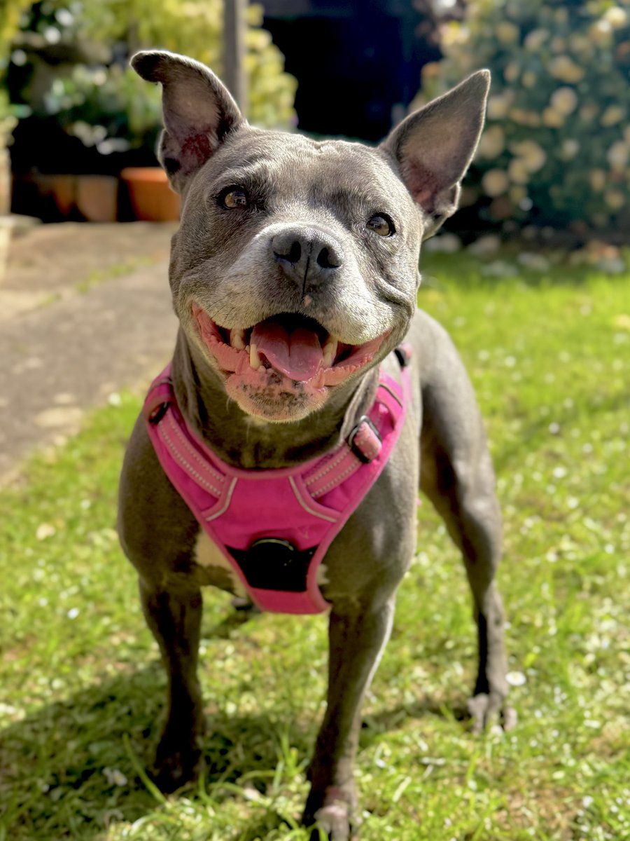 Isa Mary tweet media