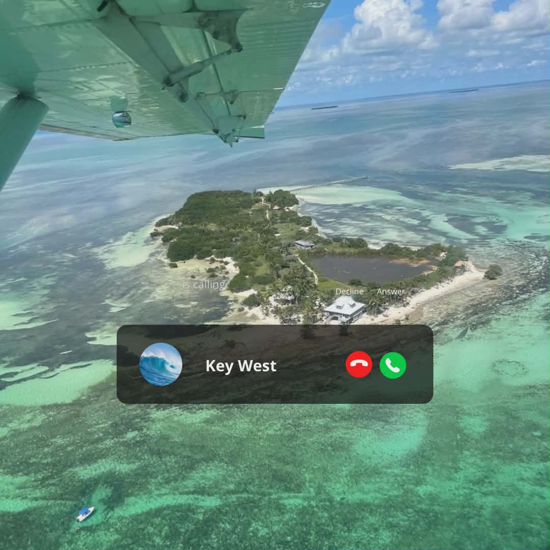 PartyInKeyWest's tweet image. Paradise is calling. Will you answer? #keywest #paradise #mondaymotivation

More: PartyinKeyWest.com/wp/
Follow us: @PartyInKeyWest
Hashtag us: #PartyInKeyWest