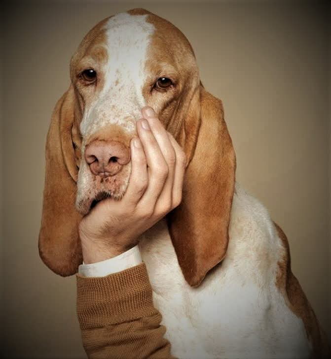 Kropka.. tweet media