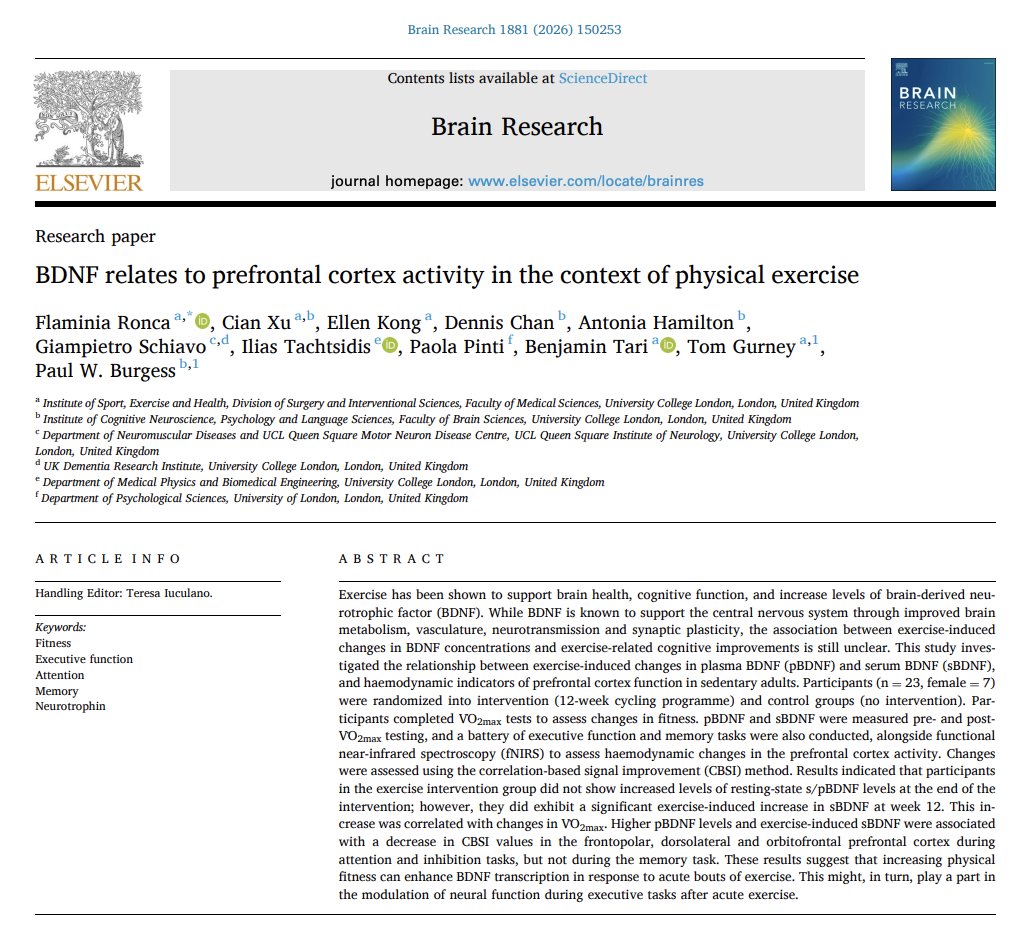 Louisa Nicola tweet media