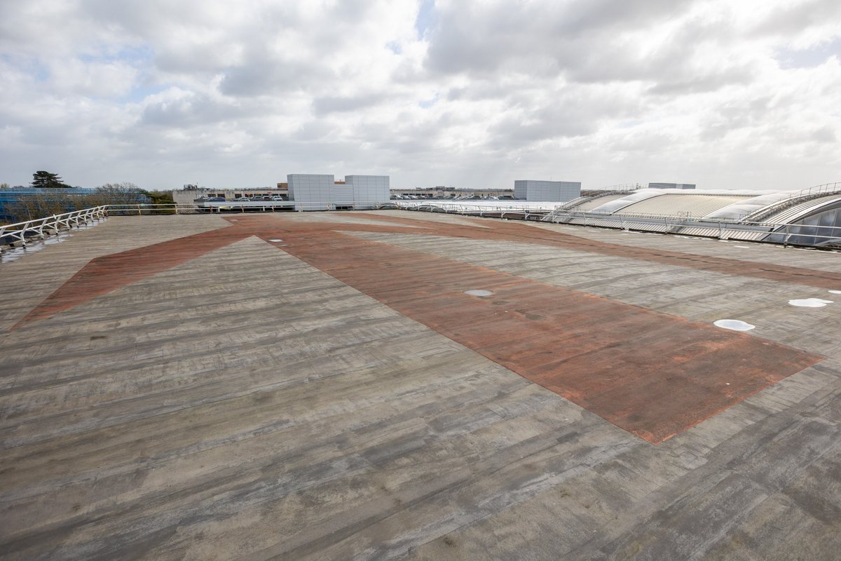 Andrew Gardner tweet media