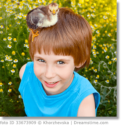 Corinna Grund tweet media