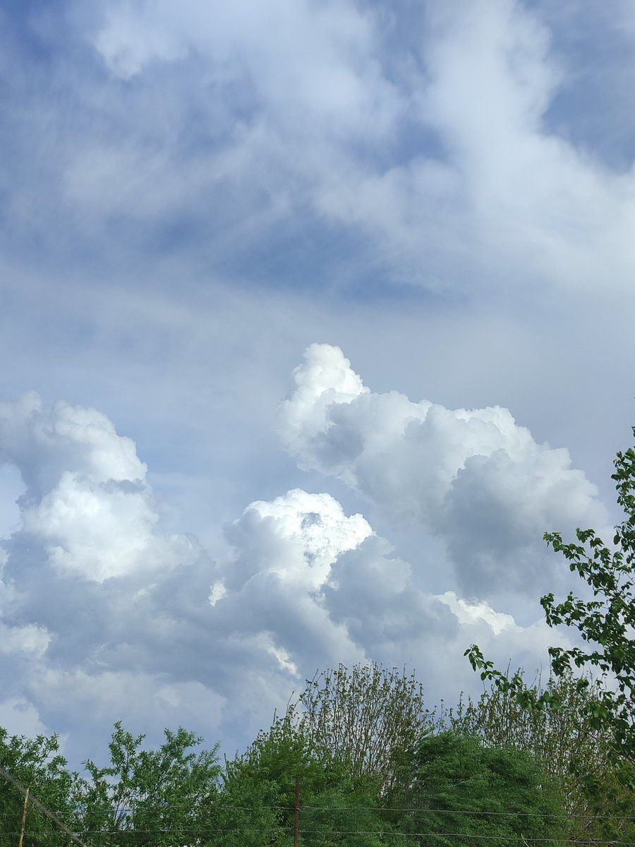 чонах tweet media