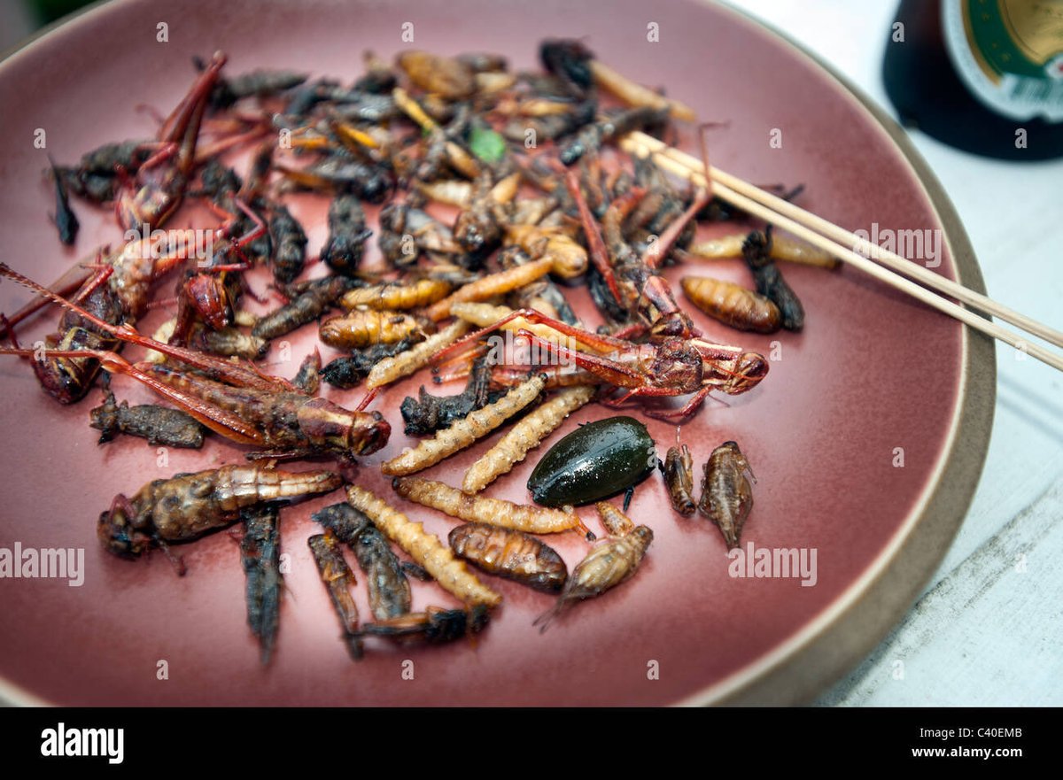 rjl888sjr's tweet photo. WAR ON FOOD IS HERE!
They are destroying real farms, livestock & fishing fleets with war, fertilizer & fuel prices.
While pouring billions into bug food and lab-grown slop.
This isn’t coincidence.
Wake up!
#warOnFood #WakeUp #BugFood #GreatReset https://t.co/wnwZQkUmVN