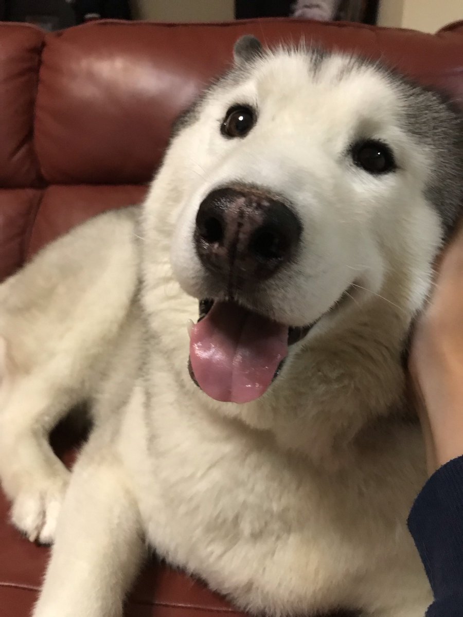 まるちぃず tweet media