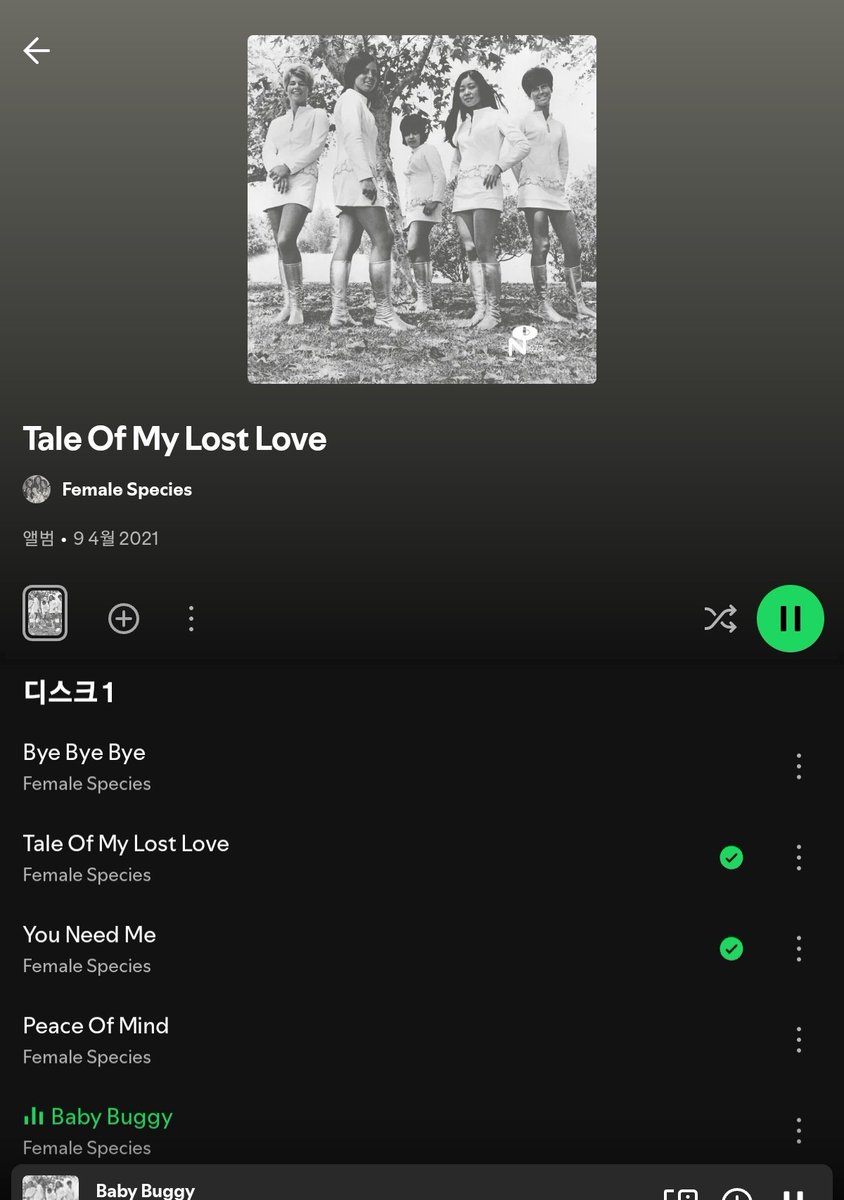 봉수또옴 tweet media