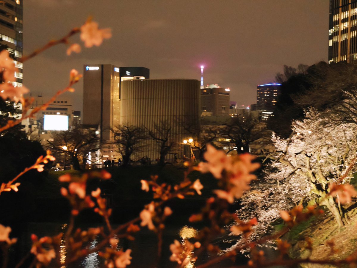 すみ𖦞 tweet media