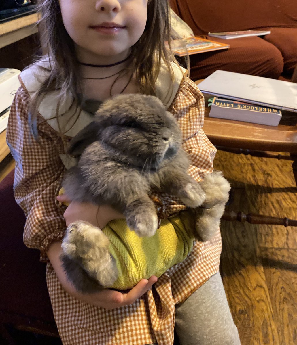 Southern Chestnut 🐣🐰 tweet media