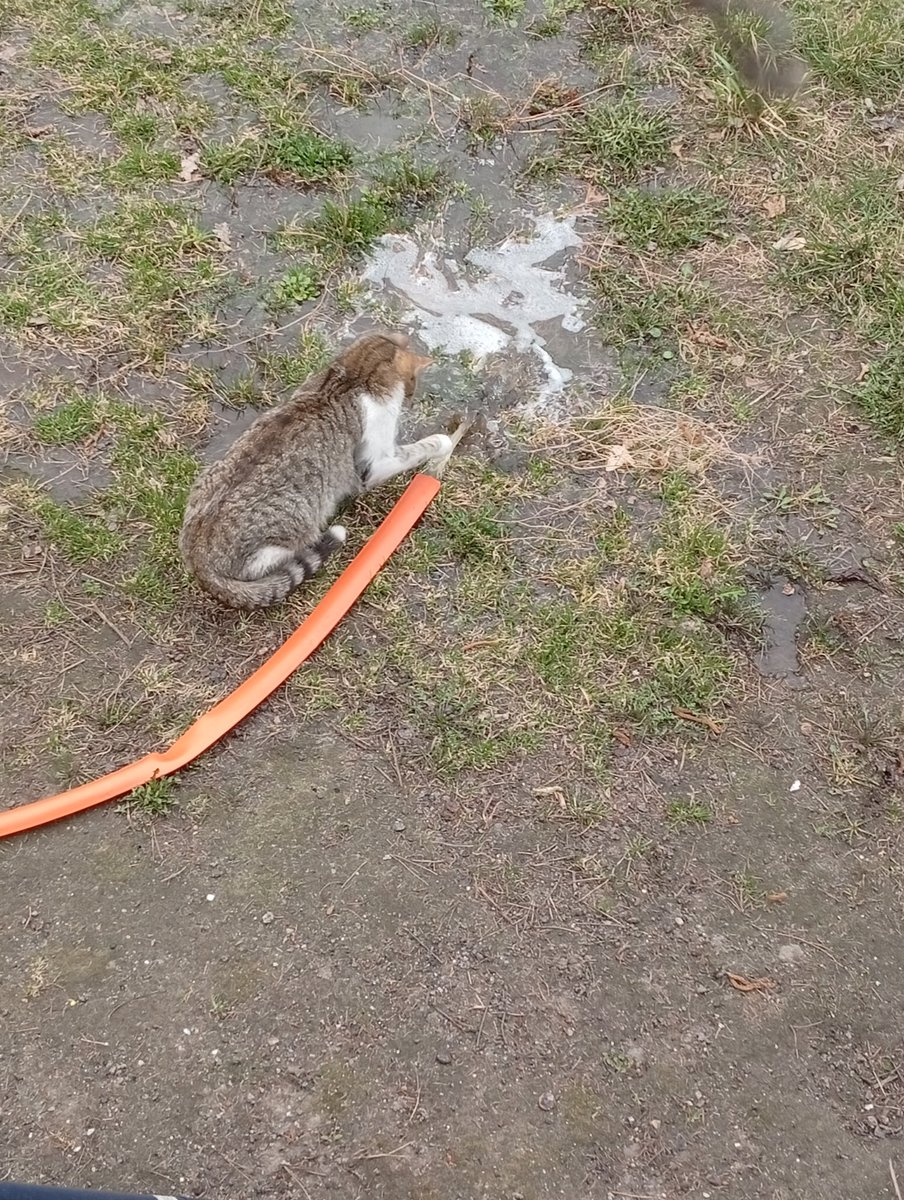 Adamas_w_trasie tweet media