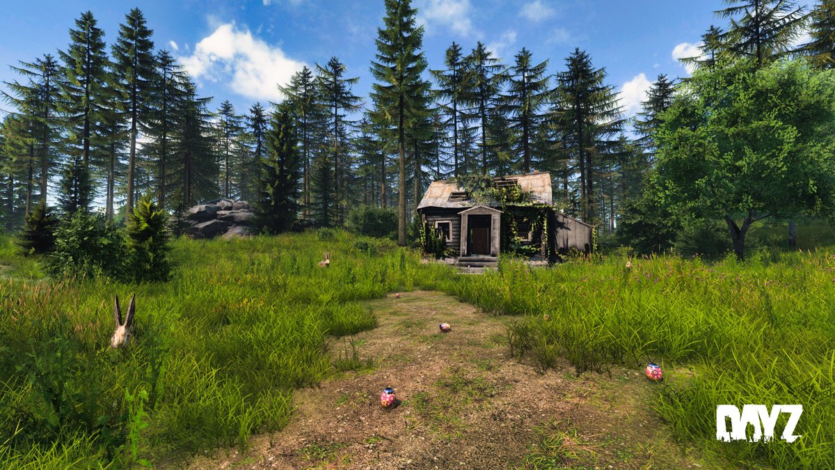 DayZ 🖥 🎮 ❤️ tweet media