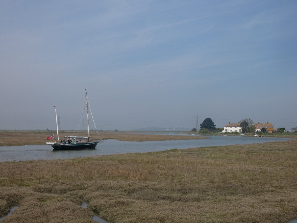 Bird Wise North Kent tweet media
