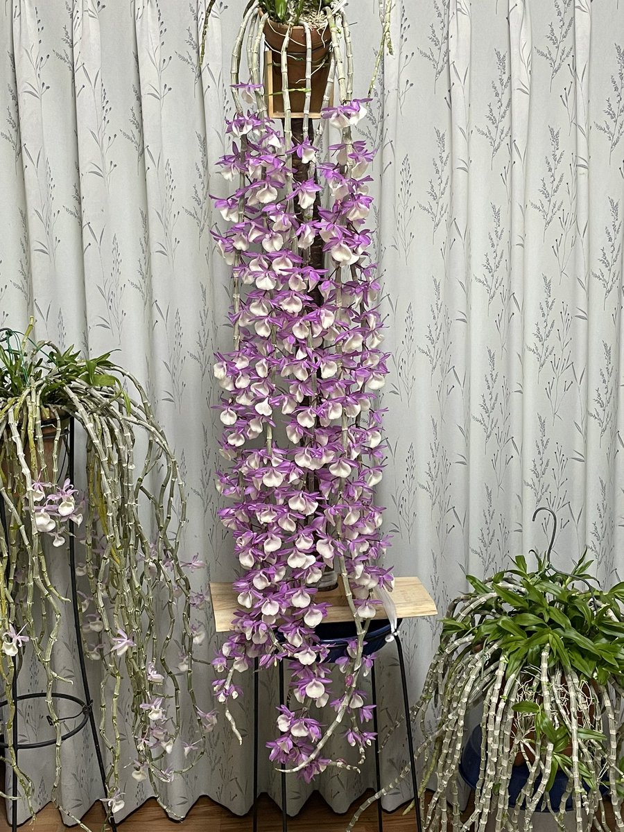 Minoru Tomisawa tweet media