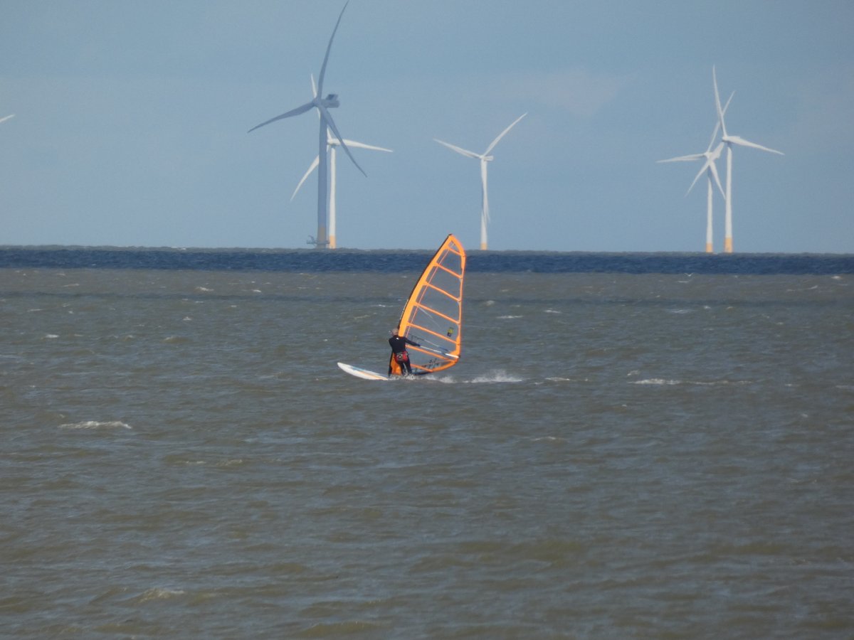 Bird Wise North Kent tweet media