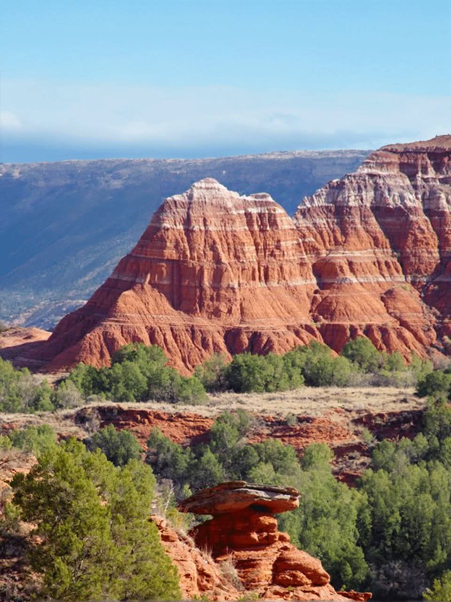 N A T U R E tweet media