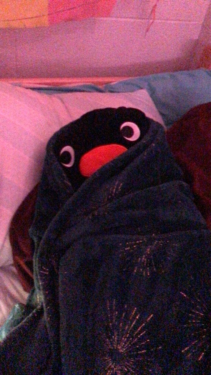 무치👽 tweet media