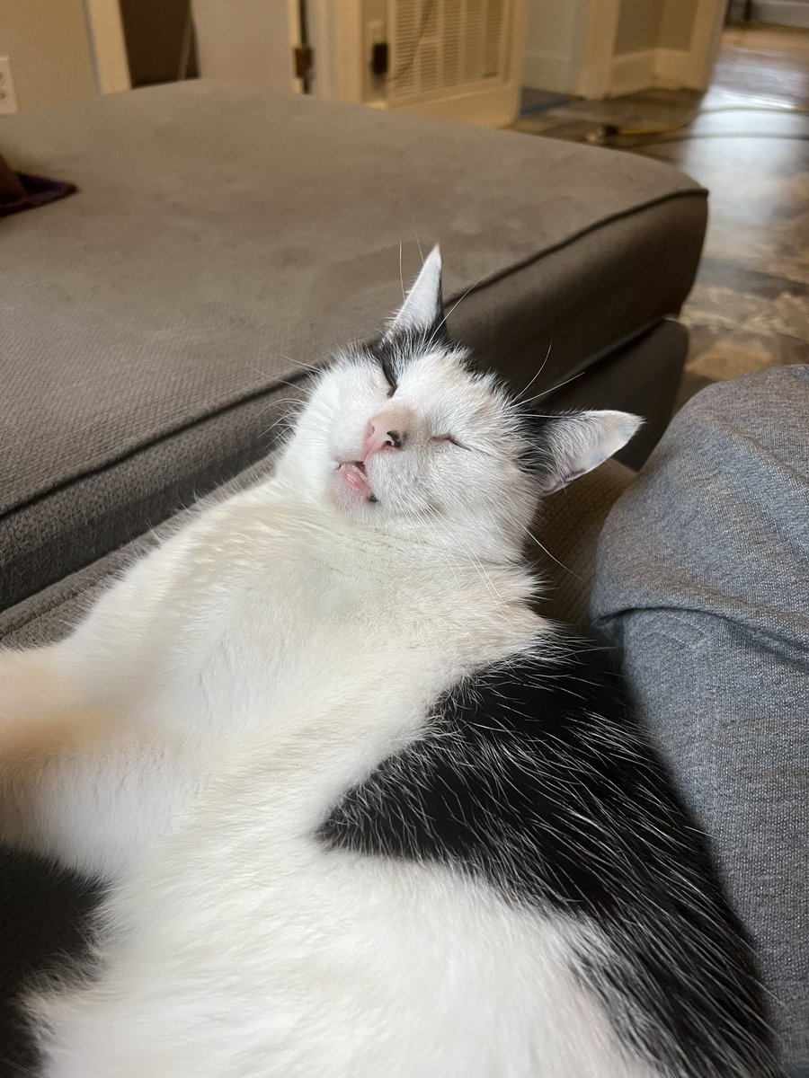 CODEKING tweet media