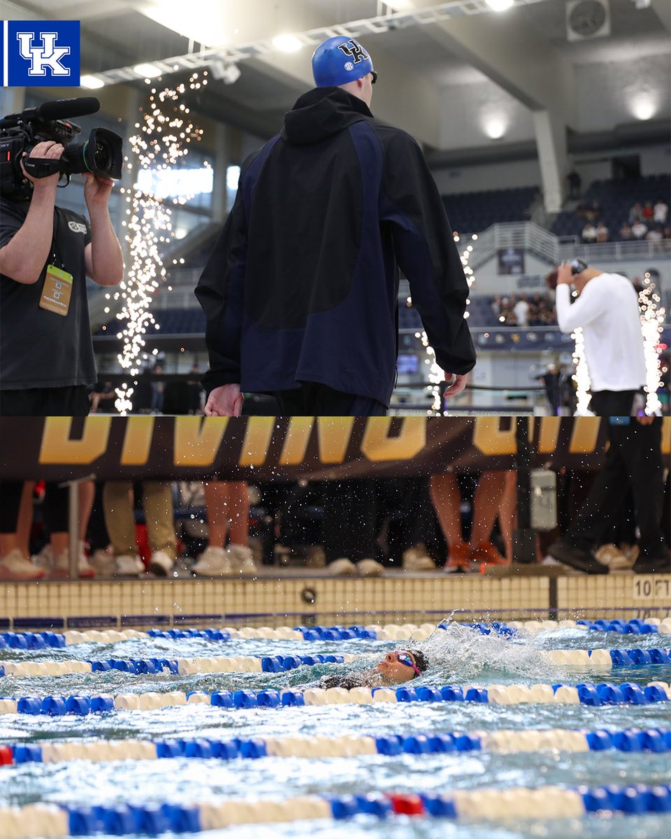 Kentucky Swim & Dive tweet media
