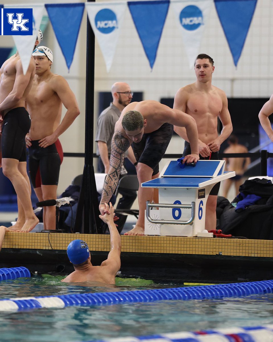 Kentucky Swim & Dive tweet media