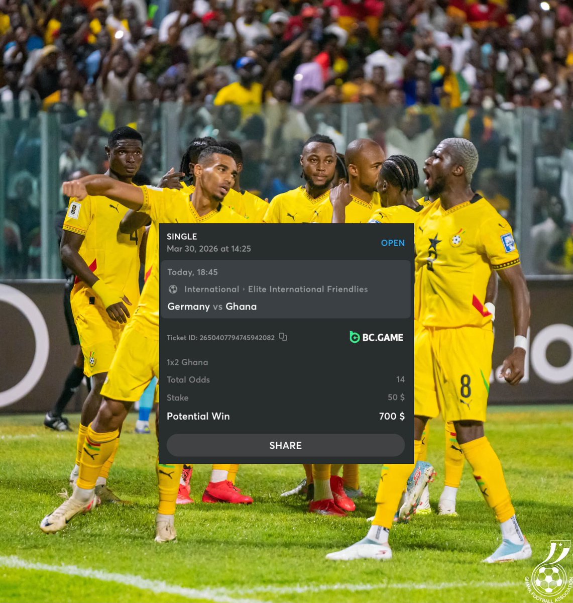 Berneese tweet media