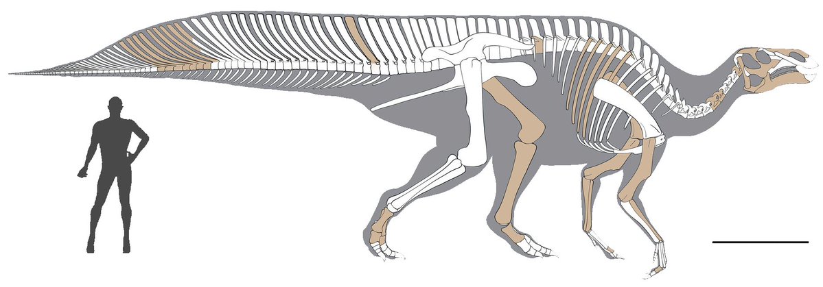 EDGE Central tweet media