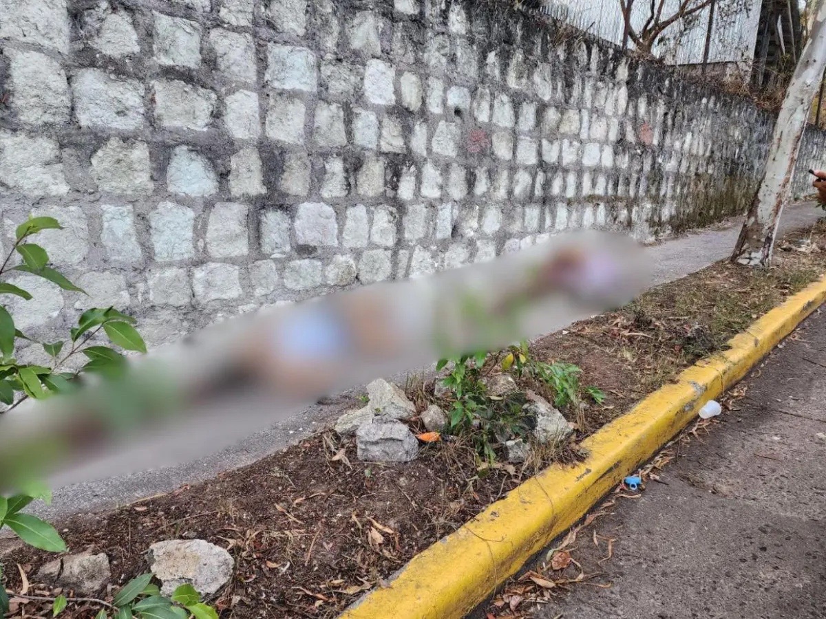 Cesia Mejía tweet media