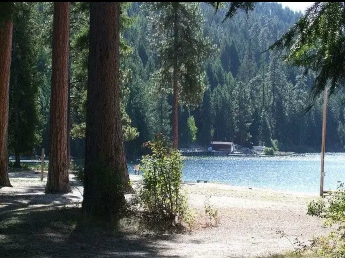 American Conservation Coalition tweet media