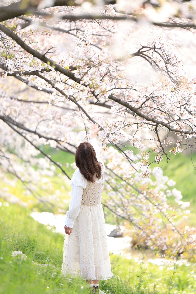 天下無双 tweet media