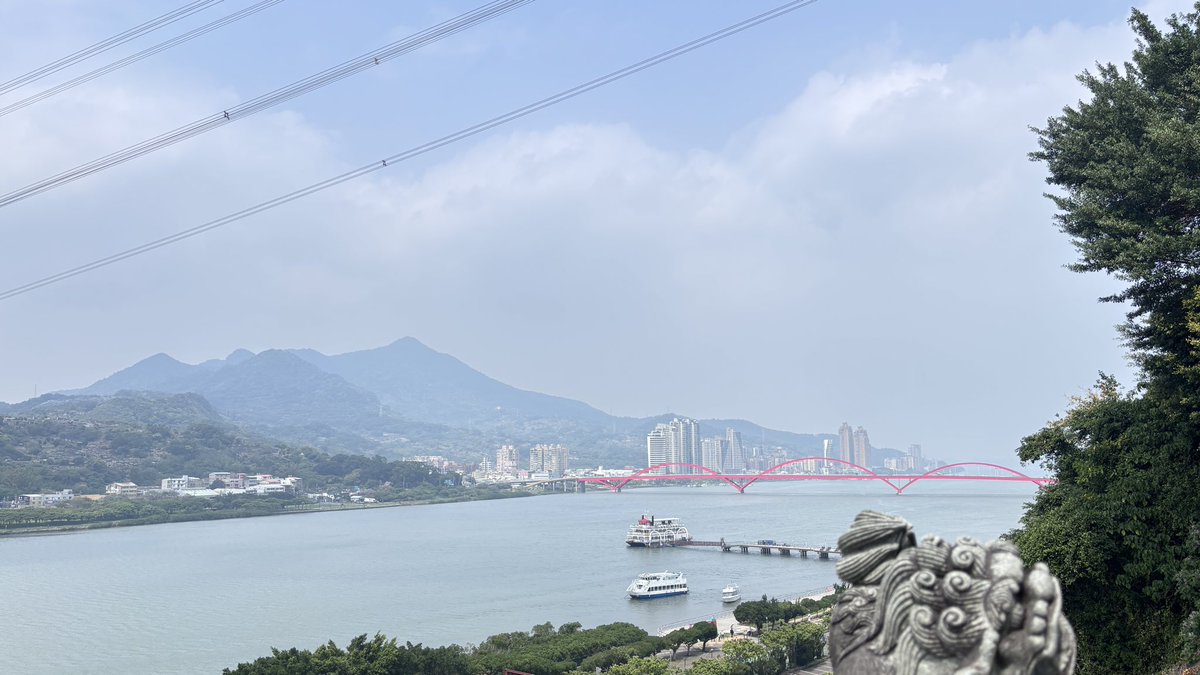 頑皮的貓咪 tweet media