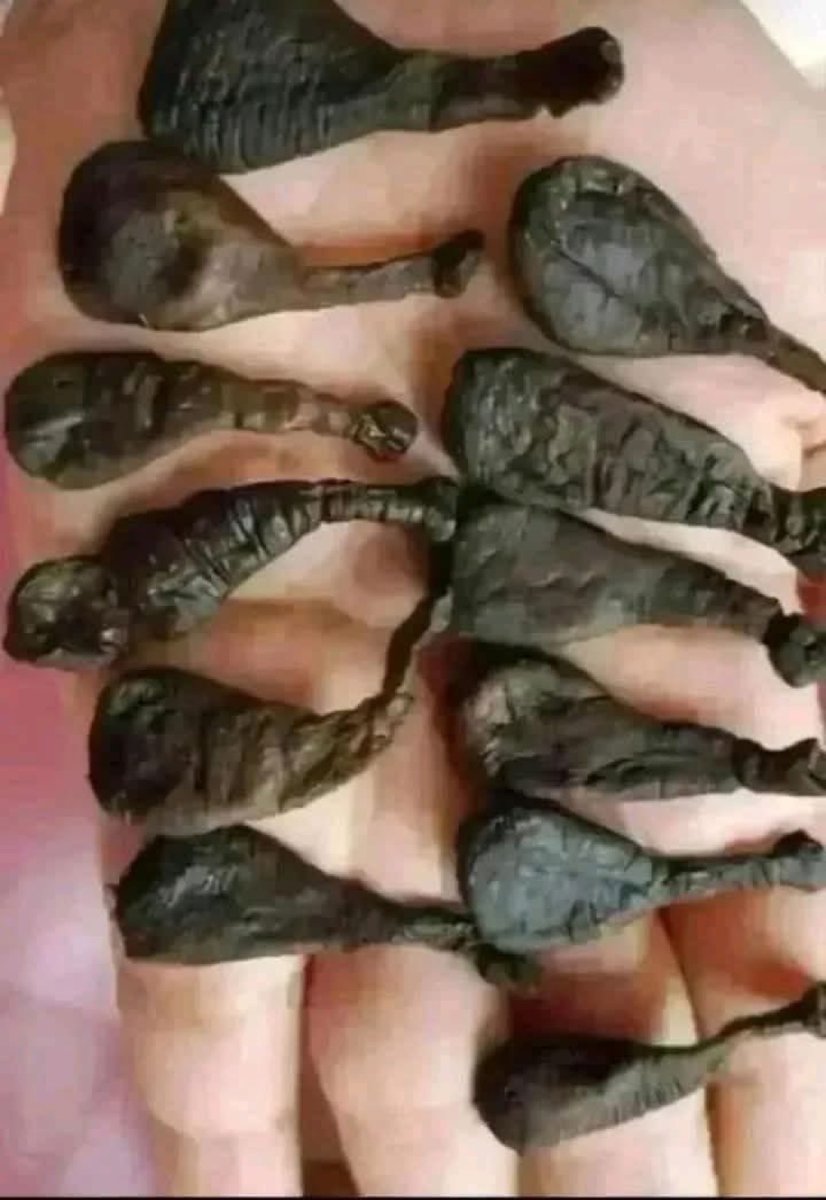 captainblack 𝕏 tweet media