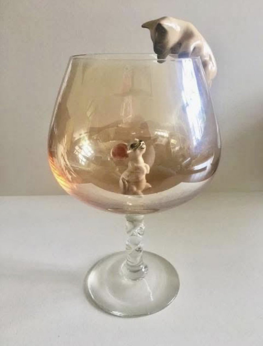 celtic Jaime 🍀 tweet media