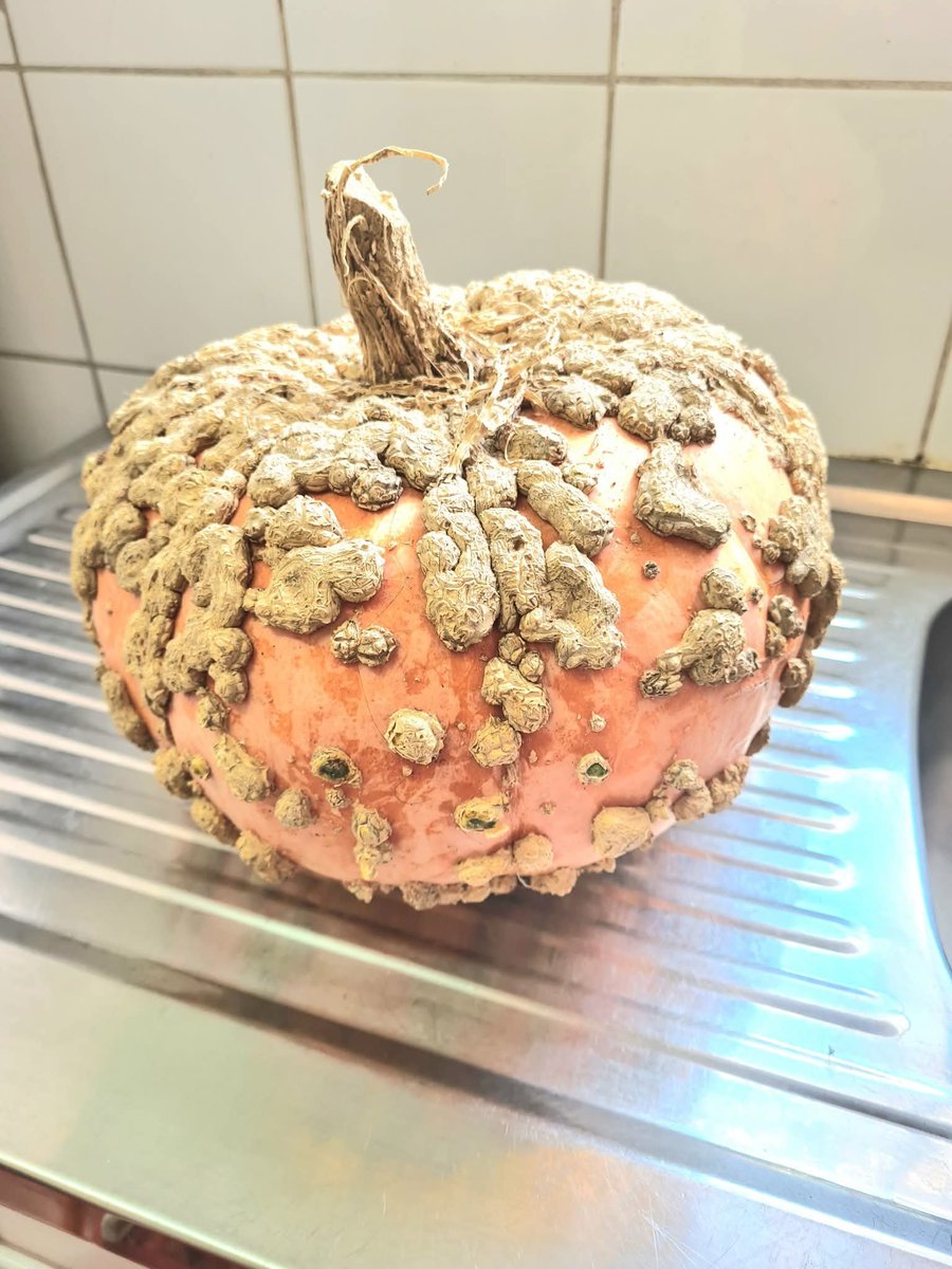 Nurses Against Dick Pics. 🪷🇺🇦 tweet media