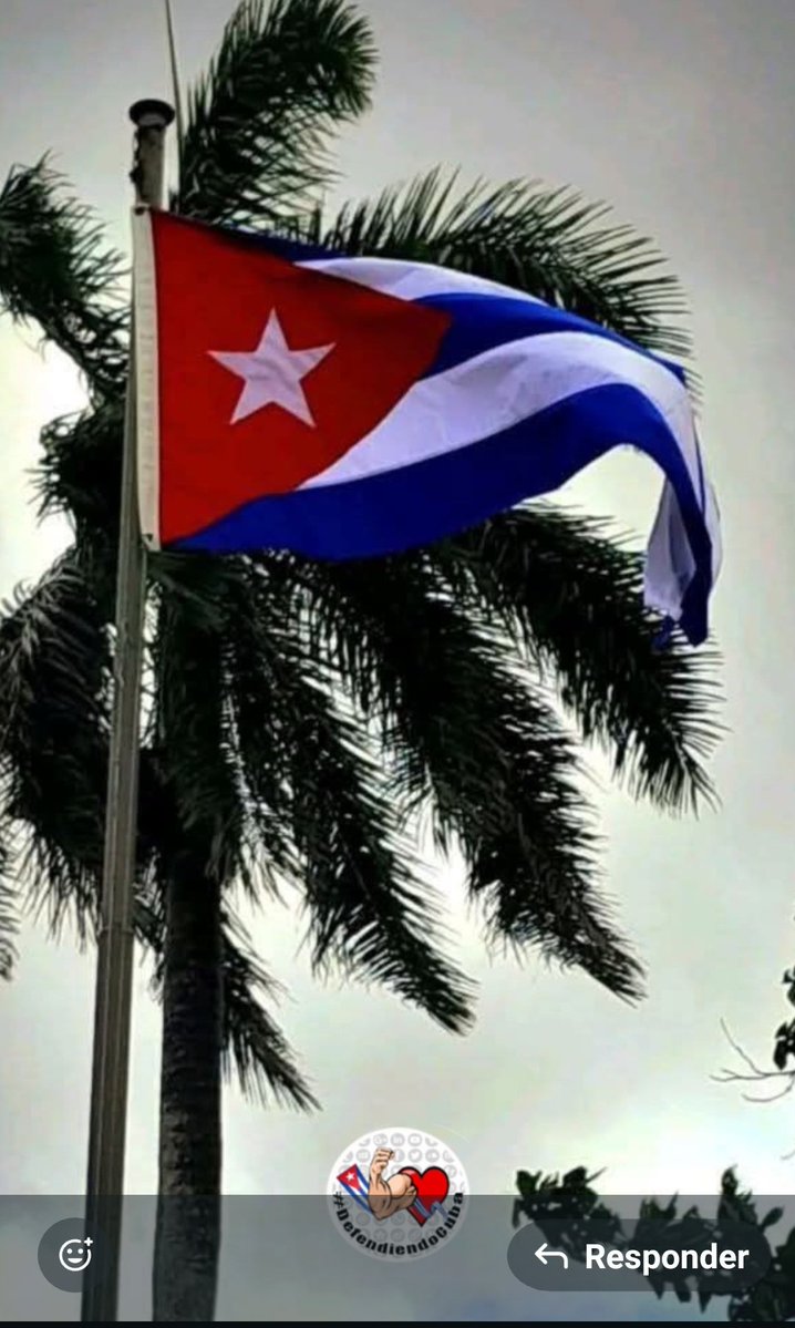 Policarpocastro tweet media