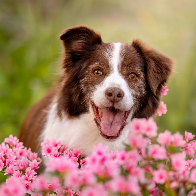 Butterfly 🦋🌷 tweet media