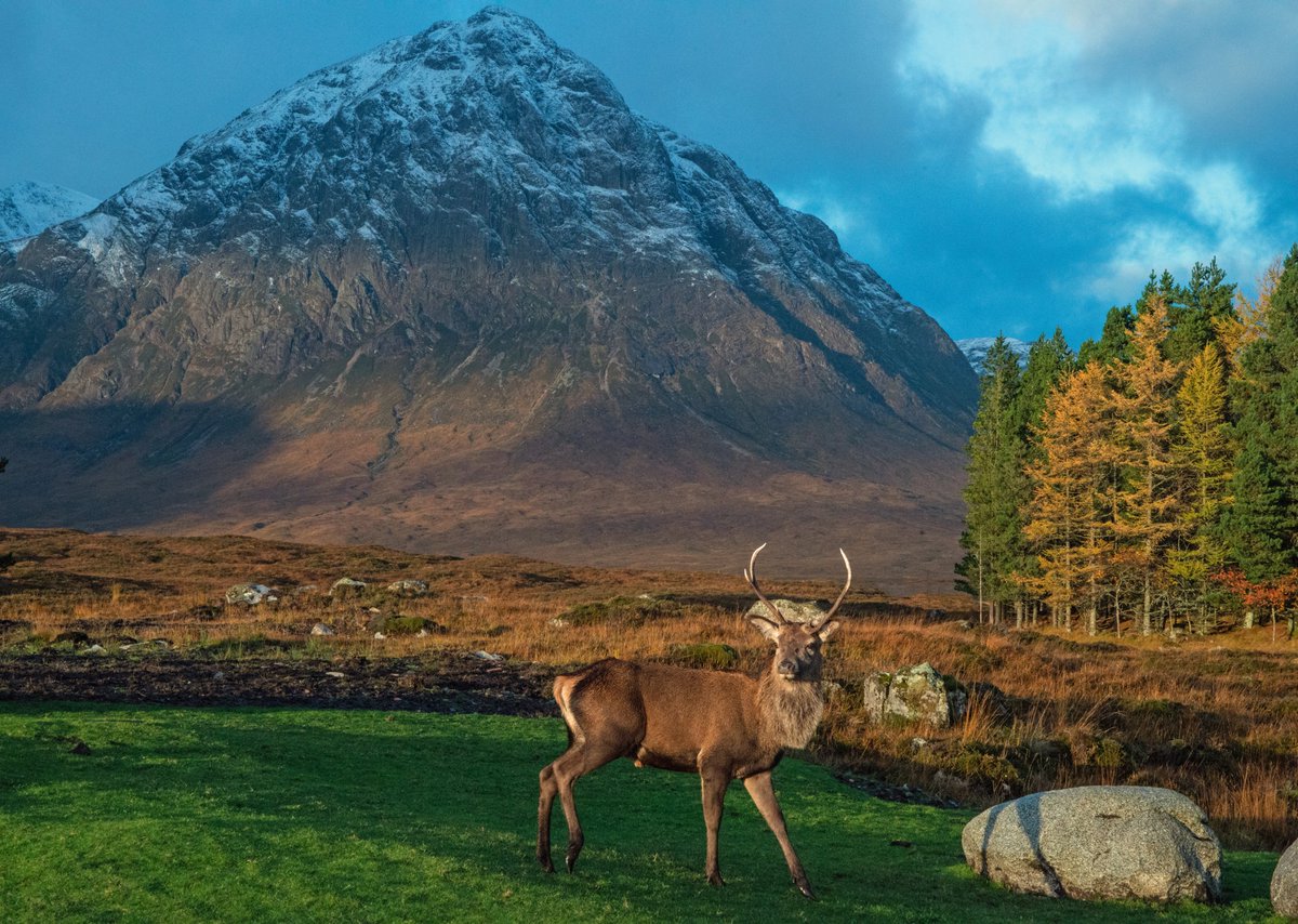 Historical Chronicles tweet media