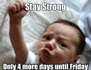 MARLEYLILLY tweet media