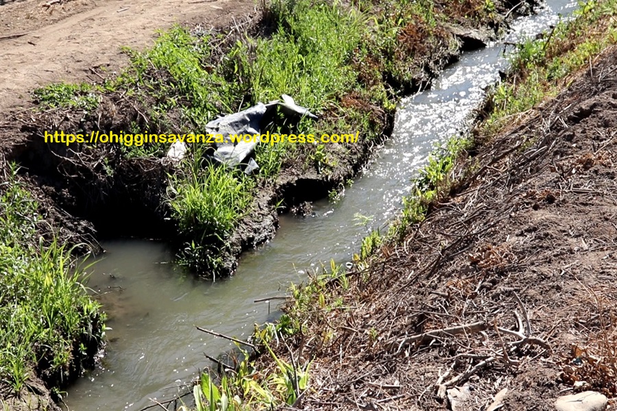 OHigginsAvanza's tweet image. Proyecto #Embalse Estacional #AgroMarchigüe genera dudas ciudadanas en proceso de evaluación ambiental en #LaEstrella - ohigginsavanza.wordpress.com/2026/03/30/pro…