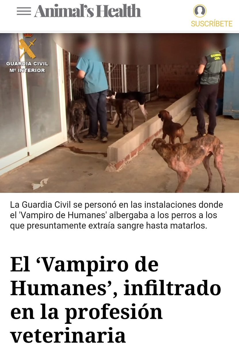 Josema Vallejo tweet media