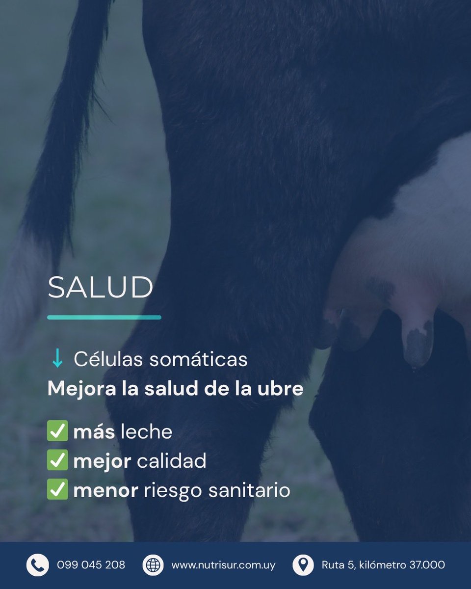 Nutrisur tweet media