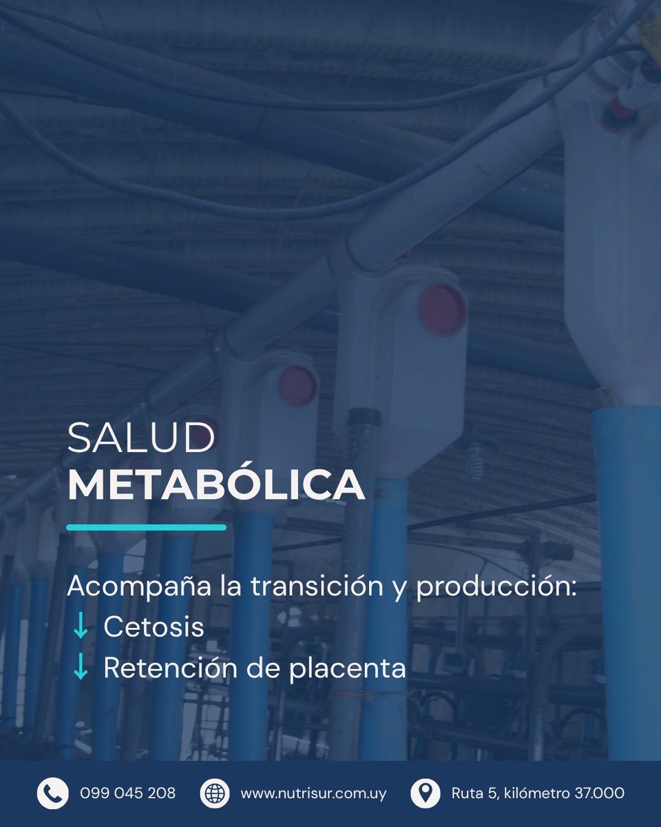 Nutrisur tweet media
