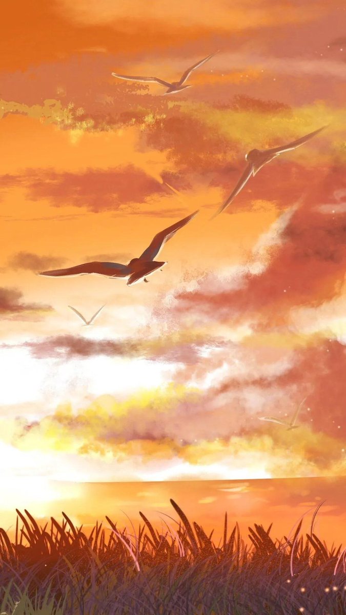 Илья Патынга tweet media