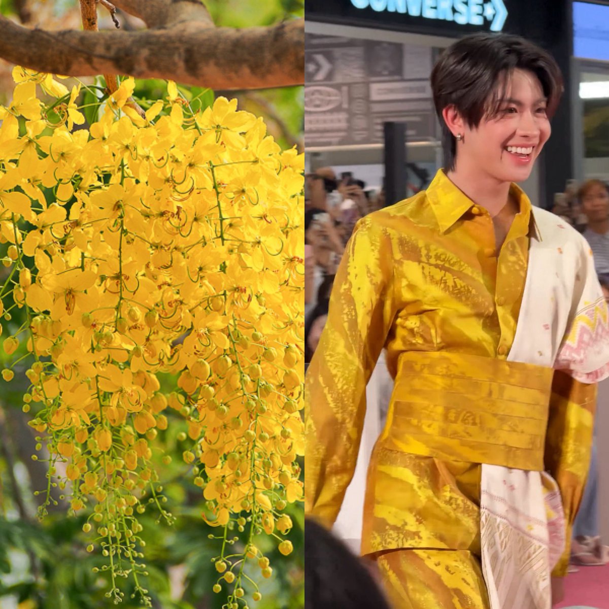 มี๊ยัยแป๋ว🫶🏼แม่ยายพี่เติ้ล💚 tweet media