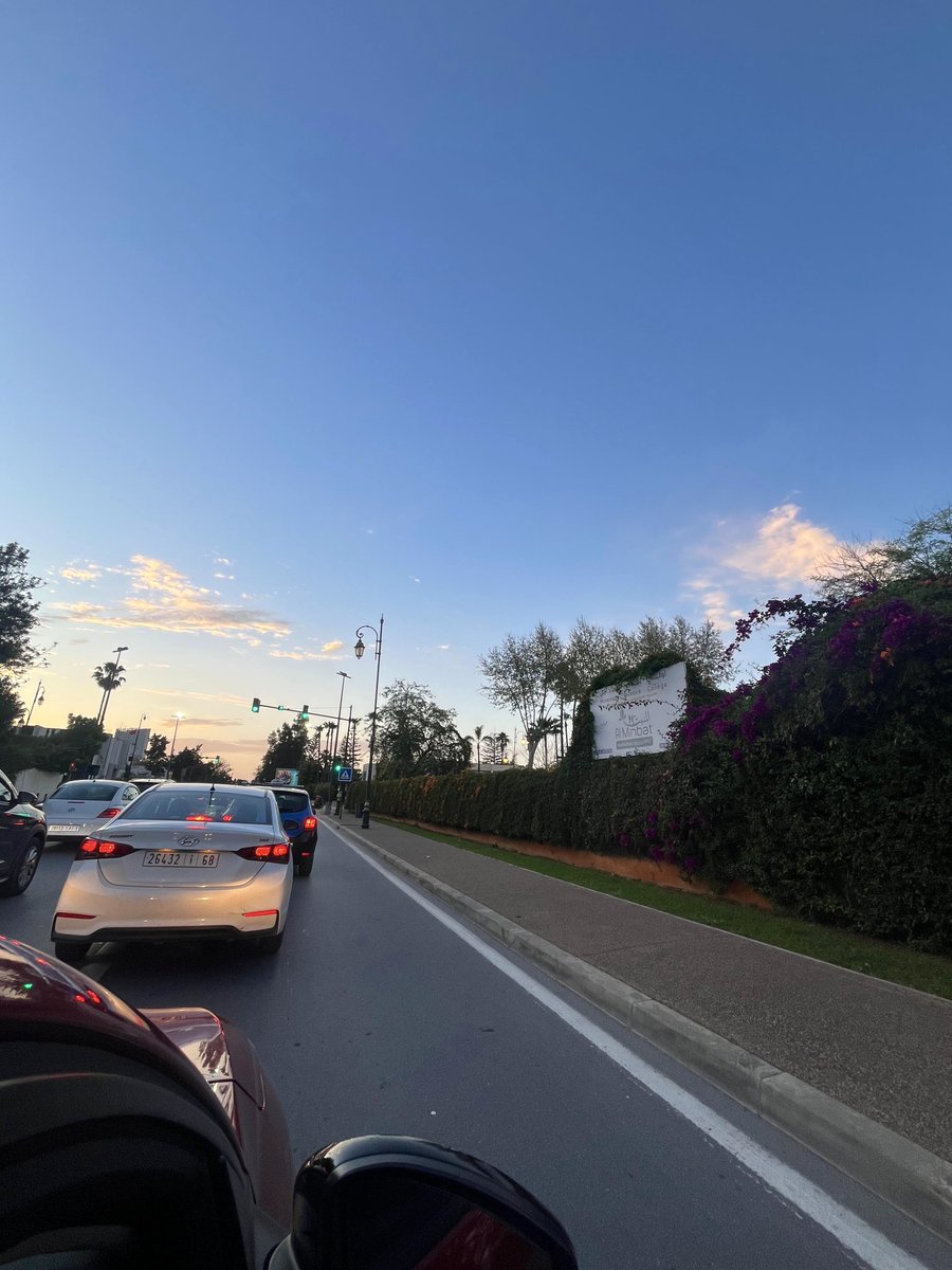 Alcatraz🦦 tweet media