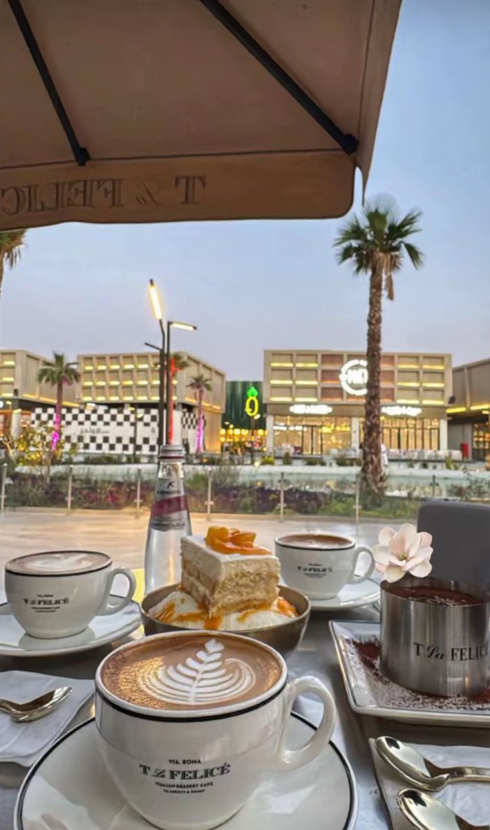 bdoor_q8 tweet media